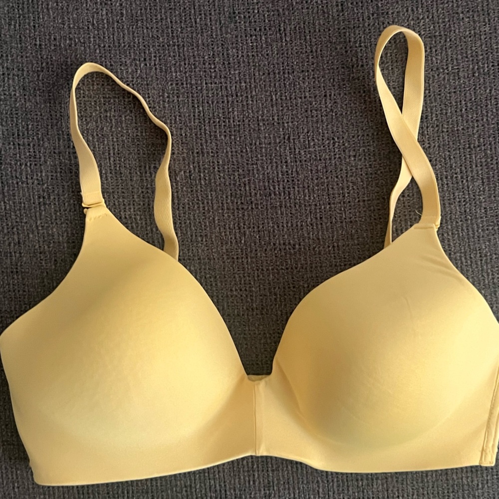secret treasures bra